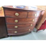 EARLY 19th CENTURY BOW FRONTED CHEST, 2 short 3 long graduated drawers with stamped oval brass
