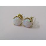 PAIR OF OPAL STUD EARRINGS, set in 4 claw 9ct yellow gold stud & butterfly mounts