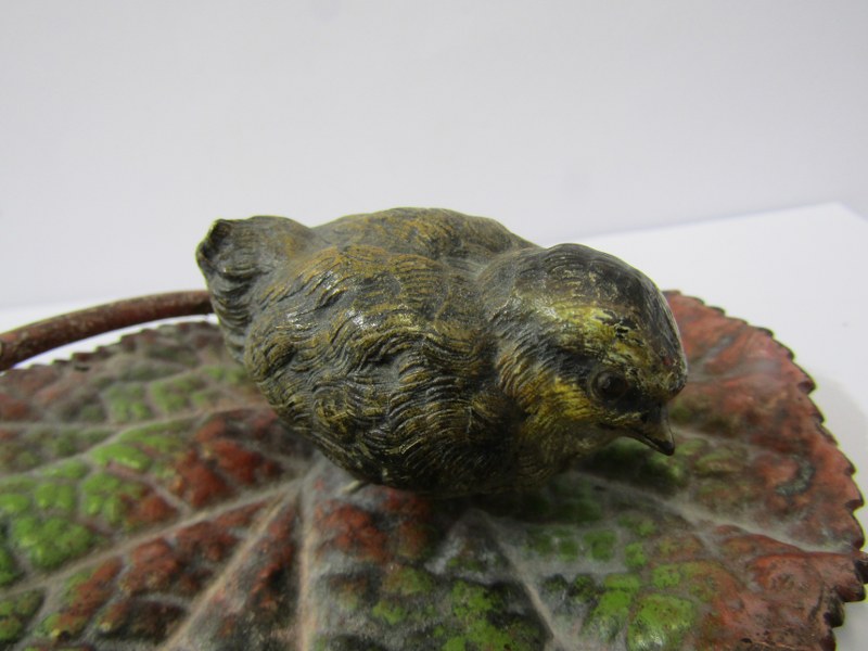 VIENNESE COLD PAINTED BRONZE, of Chick on Begonia leaf, 5" width - Image 2 of 2