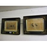 ORNITHOLOGY, pair of 19th Century watercolour and pencil bird studies, 4" x 6"