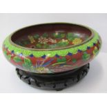 CLOISONNE, Chinese compressed circular 8" bowl decorated with Phoenix bird and 4 character signed