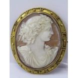GOLD FRAMED SHELL CAMEO BROOCH, a lovely quality shell carving, approx 15 grms in weight