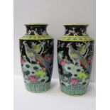 ORIENTAL CERAMICS, Famille Noire pair of "Exotic Bird" design 10" vases