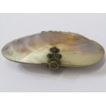 UNUSUAL SHELL DESIGN COIN PURSE, interior and exterior appear in good condition