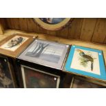 A colour print of an exotic bird and two other pictures.