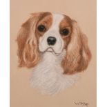 L. W. Helyes (20th century) British, A study of a spaniel, pastel, signed, 12" x 10".
