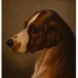 John Alfred Wheeler (1821-1903) British, a head study of a dog, oil on board, 8.5" x 8".