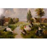 20th century school, a scene of turkeys gathered by a stream in a country landscape, oil on