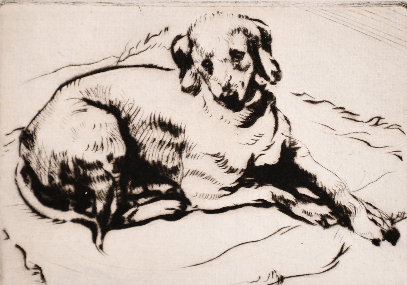 Athena Andrade, A group of dog etchings signed in pencil, etchings, various sizes, (5)