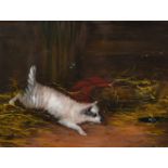 Circle of J. Langlois (1855-1904), A scene of a terrier ratting, oil on board, indistinctly signed