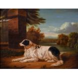 19th Century English School. Portrait of a Dog in a Parkland Landscape with a Lake beyond, Oil on
