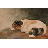 Circle of Mabel Kingwell (1890-1924) British, a study of a Jack Russell, watercolour, 5.5" x 8.5".