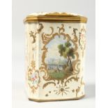 A 19TH CENTURY BILSTON ENAMEL TEA CADDY OR CASKET, with hinged cover, painted with panels of