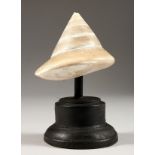 A TROPICAL SHELL, on ebonised stand. 6ins high inc. stand.