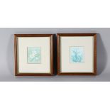 JULIA HOCKIN, a small pair of framed pictures, snowdrops and primroses.