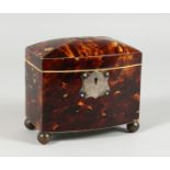 A GOOD REGENCY TORTOISESHELL SHAPED DOMED TOP TWO-DIVISION TEA CADDY on four bun feet. 5ins long.