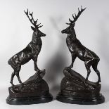 AFTER J. MOIGNIEZ A SUPERB PAIR OF BRONZE STAGS. Signed, on marble bases.