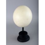 AN OSTRICH EGG on a stand. 5ins.