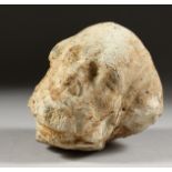 AN EARLY, POSSIBLY 16TH CENTURY, CARVED STONE HEAD. 4.5ins long.