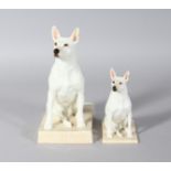 A RARE ROYAL WORCESTER BULL TERRIER, modelled by DORIS LINDNER, inscribed BILL, and SMALLER VERSION.