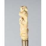 A CARVED BONE RATS HANDLE WALKING STICK. 34ins long.