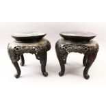 A PAIR OF 19TH CENTURY ORIENTAL HARDWOOD CARVED STANDS, stood upon four carved curving feet, with