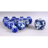 A COLLECTION OF ELEVEN 20TH CENTURY CHINESE BLUE AND WHITE PRUNUS PATTERN GINGER JARS, three lacking