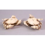 A PAIR OF EARLY 20TH CENTURY CARVED IVORY MODELS OF CRABS, with articulated eyes, 7cm wide.
