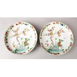 A GOOD PAIR OF CHINESE KANGXI STYLE FAMILLE VERTE PLATES, finely decorated with birds amongst native