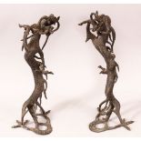 A PAIR OF CHINESE CAST BRONZE DRAGONS, standing on their hind legs, 35cm high.