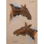 Raymond John Vandenbergh (1889-1960's) British, 'Cow Moose', pastel on paper, signed and