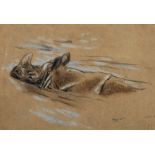 Raymond John Vandenbergh (1889-1960's) British, 'Rhinoceros Having a Swim', pastel, signed with