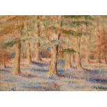 20th century school, a woodland scene with wildflowers, watercolour, indistinctly signed, 9" x 13".