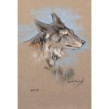 Raymond John Vandenbergh (1889-1960's) British, 'A Portrait of a Coyote', Pastel, signed, 10" x 7".