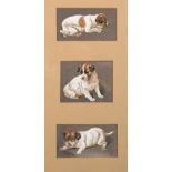 Late 19th century British, Three studies of a puppy in various poses, watercolour, initialled 'C. B.