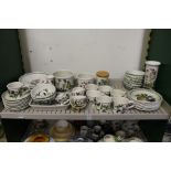 A quantity of Port Meirion Botanic Garden china (some wear).