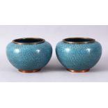 A GOOD PAIR OF 19TH/20TH CENTURY CHINESE CLOISONNE BOWLS, with scrolling stylised cloud and ruyi