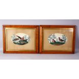 A PAIR OF 19TH CENTURY INDIAN FRAMED PAINTINGS OF PEACOCKS ON RICE PAPER, with mounted oval borders,