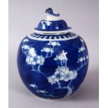 A 19TH / 20TH CENTURY CHINESE BLUE & WHITE PORCELAIN PRUNUS GINGER JAR & COVER, with prunus