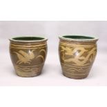 A NEAR PAIR OF CHINESE POTTERY JARDINIERES, dragon and phoenix design. 1ft 8ins diameter.