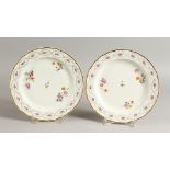 A PAIR OF 18TH CENTURY CHELSEA DERBY PLATES painted with flowers under a leafy chain border, crown D