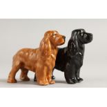 A ROYAL WORCESTER FIGURE OF AN ENGLISH SPRINGER SPANIEL, and a black model of a Cocker Spaniel, date