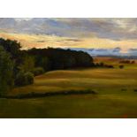 20th century school, An extensive tree lined landscape at dusk, oil on board, signed with initials