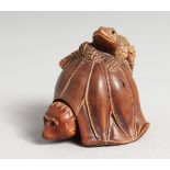 A JAPANESE CARVED WOOD TORTOISE AND FROG CARVING