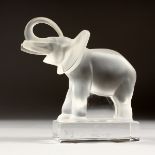 A LALIQUE CRYSTAL ELEPHANT on a glass base Presentation E.V. 1963 - 88 Signed, 5.5 ins high