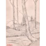 Attributed to Stanislas Lepine (1835-1892) French, A study of trees along a riverside, pencil with