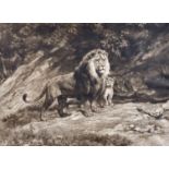 Herbert Dicksee (1862-1942) After Rosa Bonheur, A family of lions, etching, signed in pencil, 19"