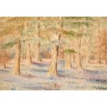 20th century school, a woodland scene with wildflowers, watercolour, indistinctly signed, 9" x 13".