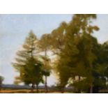 Mid-20th century school, A study of trees in a landscape, oil on panel, 10.5" x 14".