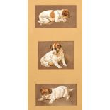 Late 19th century British, Three studies of a puppy in various poses, watercolour, initialed 'C.